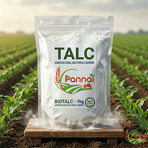 Talc Powder 1KG