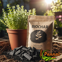 Premium Biochar 1KG for Soil Enrichment | Organic Carbon Fertilizer for Sustainable Farming