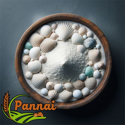 High Purity Shell Lime Powder 1KG Natural Calcium Source for Agriculture & Industry